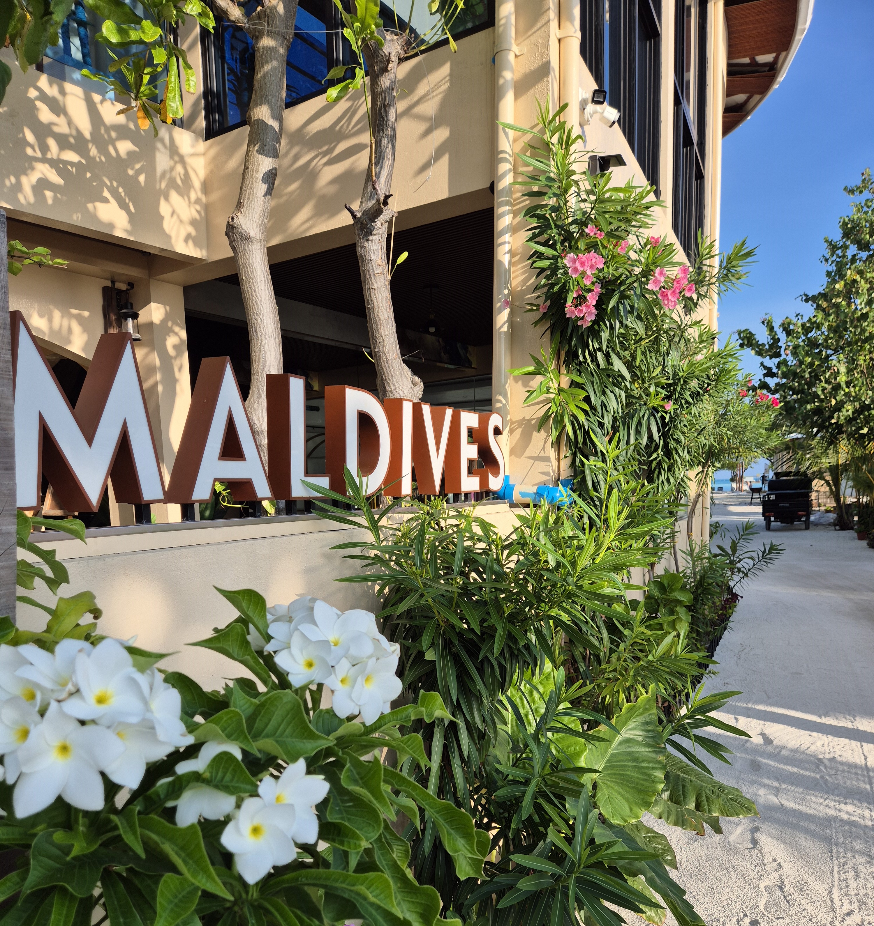 Maldives Travel Experience